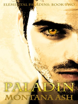 Paladin (Book Two of the Elemental Paladins series) - ebook